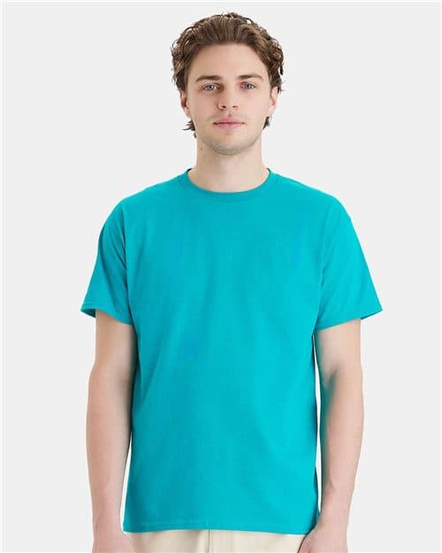 Hanes 5280 Essential-T Cotton T-Shirt blank garment