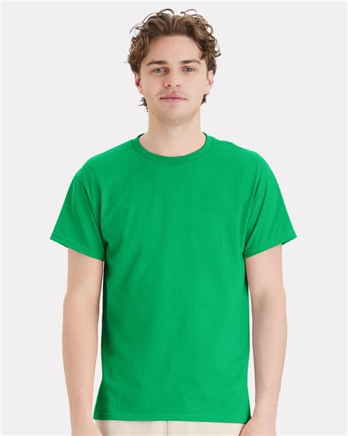Hanes 5170 EcoSmart 50/50 T-Shirt blank garment